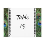 Colourful Peacock Eyes Wedding Table Numbers postcards