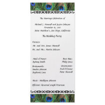 Colourful Peacock Feather Wedding Program Customised Rack Card