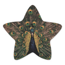 Colourful Peacock Star Sticker