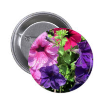 Colourful Petunias Pinback Buttons