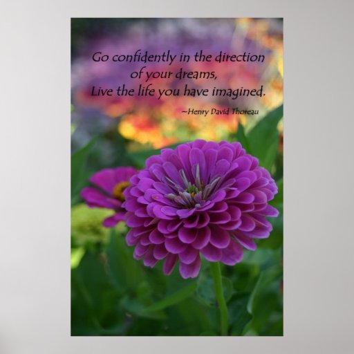 Inspirational Quotes With Flowers. QuotesGram