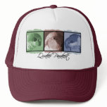 Colourful Quaker Parakeet Hat