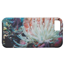Colourful sea anemone case for iPhone 5