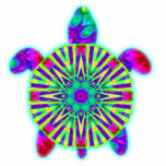 Colourful Sea Turtle Photo Sculpture photo sculptures