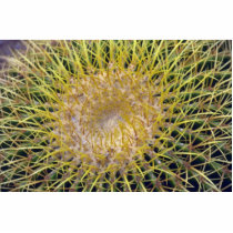 Colourful Spines Photo Cutout
