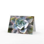 Colourful Succulent #3 Note Card