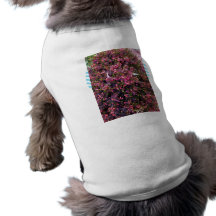 Colourful Summer flowering Heather Pet T Shirt