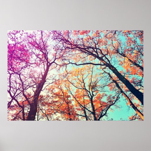 Colourful trees posters