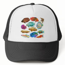 Colourful Tropical Fish