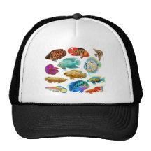 Colourful Tropical Fish Mesh Hat