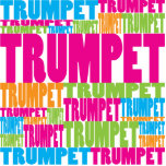 Colourful Trumpet photo sculptures