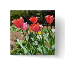 Colourful Tulips Button
