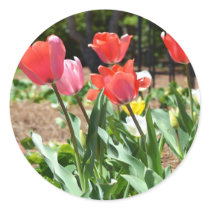 Colourful Tulips Round Sticker