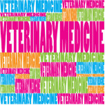 Colourful Veterinary Medicine photo sculptures