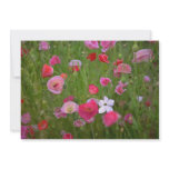 Colourful Weeds invitations