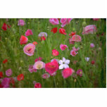Colourful Weeds photo sculptures