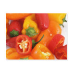 Colourful Wet Bell Peppers