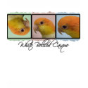 Colourful White Bellied Caique Kid's Ringer T-Shir t-shirts