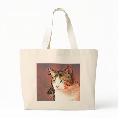 Colourkat Canvas Bag by REDINARD
