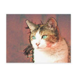 Colourkat Postcards