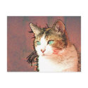 Colourkat postcards