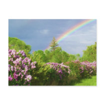 colours in nature card