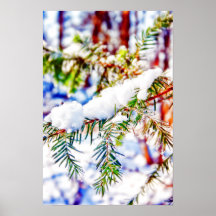 Colours in the Snow Posters