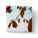 colours of fall buttons