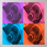 colours of Lab poster posters