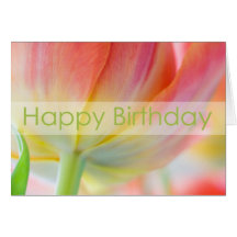 Colours of Spring Birthday Card