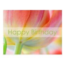 Colours of Spring Birthday Postcard