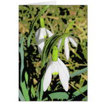 Colours of Spring Greeting Cards
