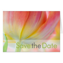 Colours of Spring Save the Date Card