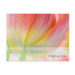 Colours of Spring Tulip • Order of the Day Postcar postcards