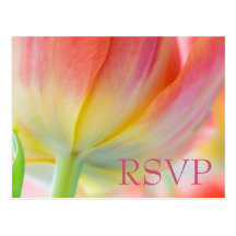 Colours of Spring Tulip RSVP Postcard
