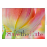Colours of Spring Tulip Save the Date Card