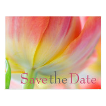 Colours of Spring Tulip Save the Date Postcard