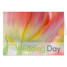 Colours of Spring • Wedding Congratulation Card