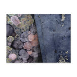 Colours on Stone Postcard