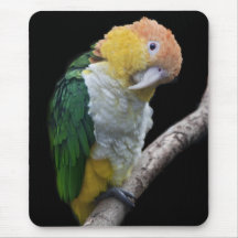 Colourtul Cutie Mousemat Mouse Pads