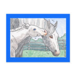 "Colt Kisses 2" Post Card