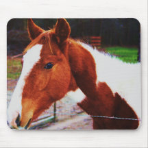 Colt Mouse Pad