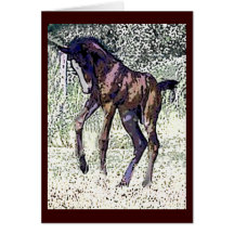Colt Notecards