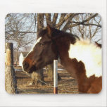 Colt of Many Colours Mousemat