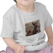 Colt Photo Baby T-Shirt