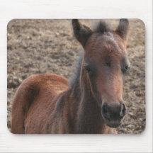 Colt Photo Mouse Pad