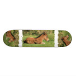 Colt Resting Design Skateboard