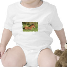 Colt Resting in Grass Baby T-Shirt