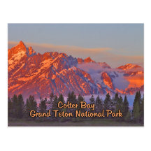 Colter Bay Grand Teton National Park Postcards