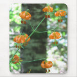 Columbia Lily - Oregon mousepads